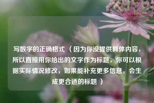 写数字的正确格式 (因为你没提供具体内容,所以直接用你给出的文字作为标题,你可以根据实际情况修改,如果能补充更多信息,会生成更合适的标题 )
