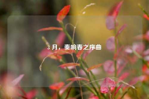 3 月，奏响春之序曲