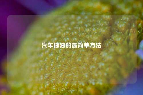 汽车抽油的最简单方法