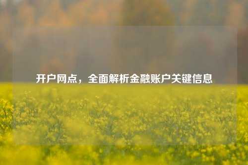 开户网点，全面解析金融账户关键信息