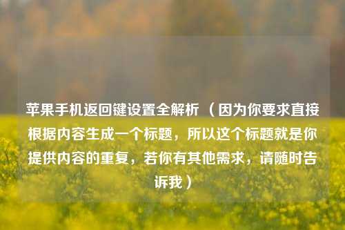 苹果手机返回键设置全解析 (因为你要求直接根据内容生成一个标题,所以这个标题就是你提供内容的重复,若你有其他需求,请随时告诉我)