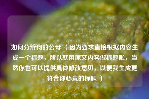 如何分辨狗的公母 （因为要求直接根据内容生成一个标题，所以就用原文内容做标题啦，当然你也可以提供具体修改意见，以便我生成更符合你心意的标题 ）