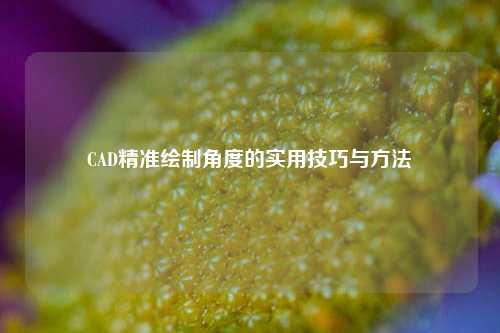 CAD精准绘制角度的实用技巧与方法