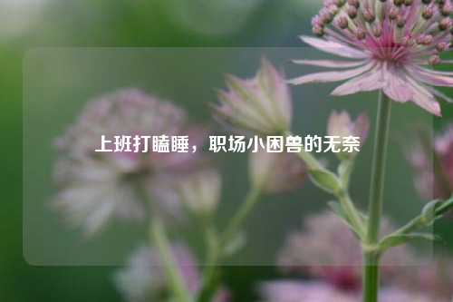 上班打瞌睡，职场小困兽的无奈