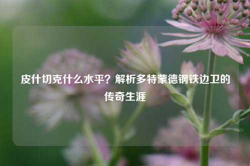 皮什切克什么水平？解析多特蒙德钢铁边卫的传奇生涯