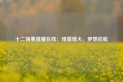 十二强赛直播在线：绿茵烽火，梦想启航