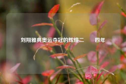 刘翔雅典奥运夺冠的辉煌二〇〇四年