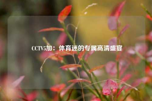  CCTV5加：体育迷的专属高清盛宴