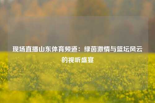 现场直播山东体育频道：绿茵激情与篮坛风云的视听盛宴