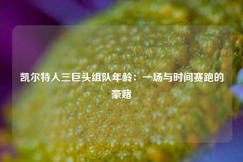 凯尔特人三巨头组队年龄：一场与时间赛跑的豪赌
