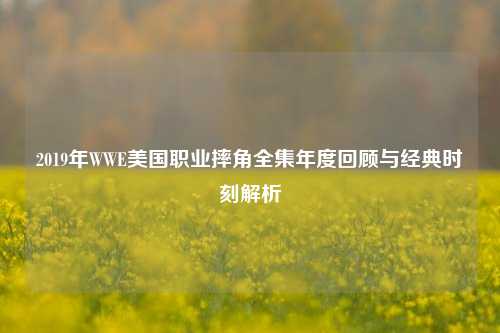 2019年WWE美国职业摔角全集年度回顾与经典时刻解析