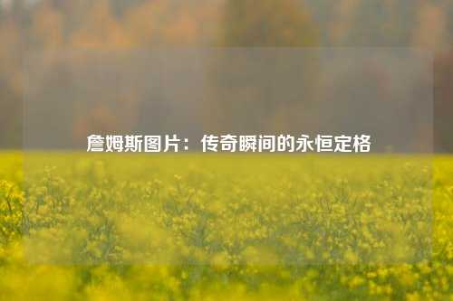  詹姆斯图片：传奇瞬间的永恒定格