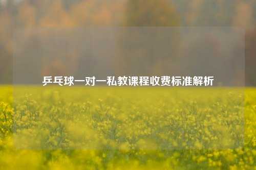 乒乓球一对一私教课程收费标准解析