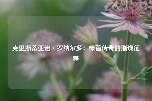 克里斯蒂亚诺·罗纳尔多：绿茵传奇的璀璨征程