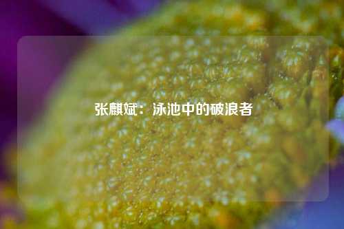  张麒斌：泳池中的破浪者