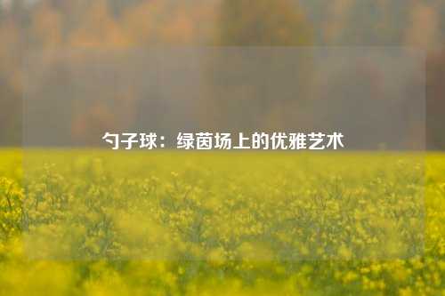 勺子球：绿茵场上的优雅艺术