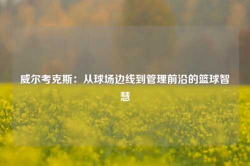 威尔考克斯：从球场边线到管理前沿的篮球智慧