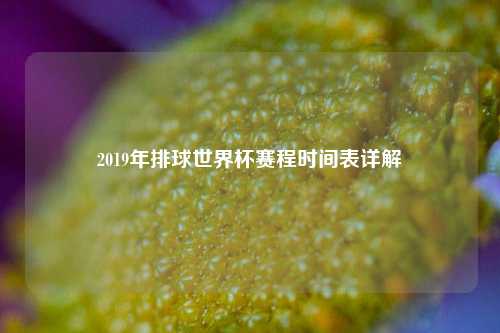 2019年排球世界杯赛程时间表详解