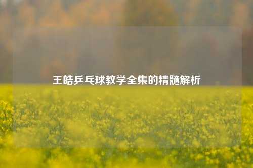 王皓乒乓球教学全集的精髓解析