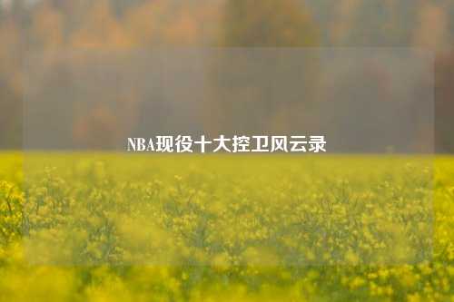 NBA现役十大控卫风云录