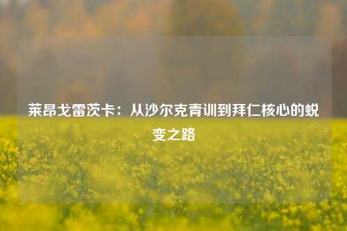 莱昂戈雷茨卡：从沙尔克青训到拜仁核心的蜕变之路