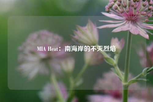 MIA Heat：南海岸的不灭烈焰