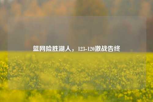 篮网险胜湖人，123-120激战告终