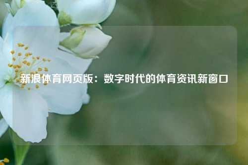新浪体育网页版：数字时代的体育资讯新窗口