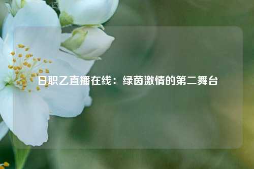 日职乙直播在线：绿茵激情的第二舞台