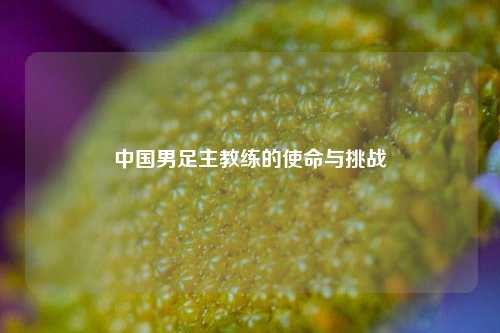 中国男足主教练的使命与挑战