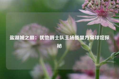 盐湖城之巅：犹他爵士队主场能量方案球馆探秘
