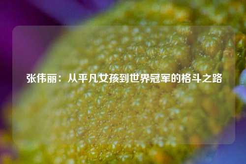 张伟丽：从平凡女孩到世界冠军的格斗之路