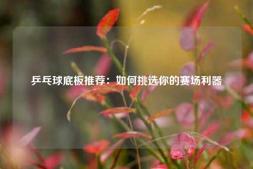 乒乓球底板推荐：如何挑选你的赛场利器