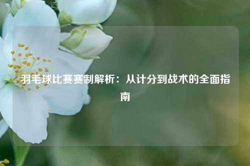 羽毛球比赛赛制解析：从计分到战术的全面指南