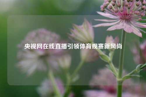央视网在线直播引领体育观赛新风尚