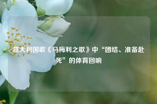意大利国歌《马梅利之歌》中“团结、准备赴死”的体育回响